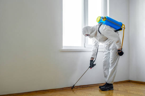 Best Fumigation Services  in Shokan, NY